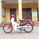 Cub 81 50cc Nhật Honda biển Hà Nội 29 CHÍNH CHỦ