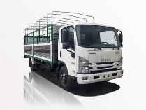 xe tải isuzu 5t5 thùng bạt nqr 550