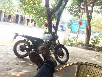 BigBoy 250