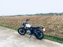 BigBoy 250