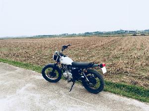 Cần Bán Bigboy 250