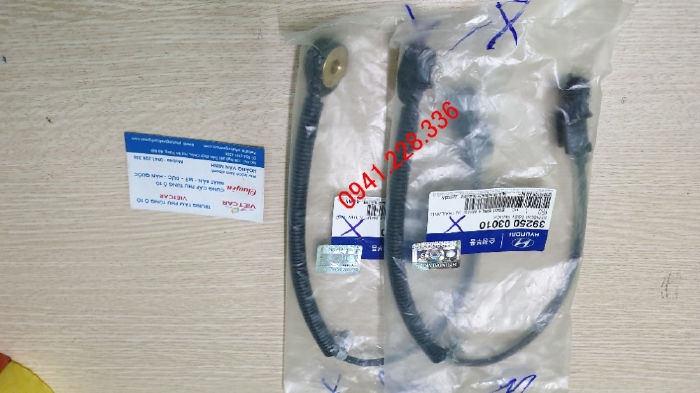 3925003010 Cảm biến tiếng gõ động cơ Hyundai I10 Grand