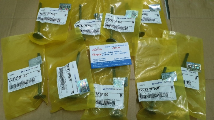 222122F100 Xupap xả Hyundai Santafe ,Kia Sorento