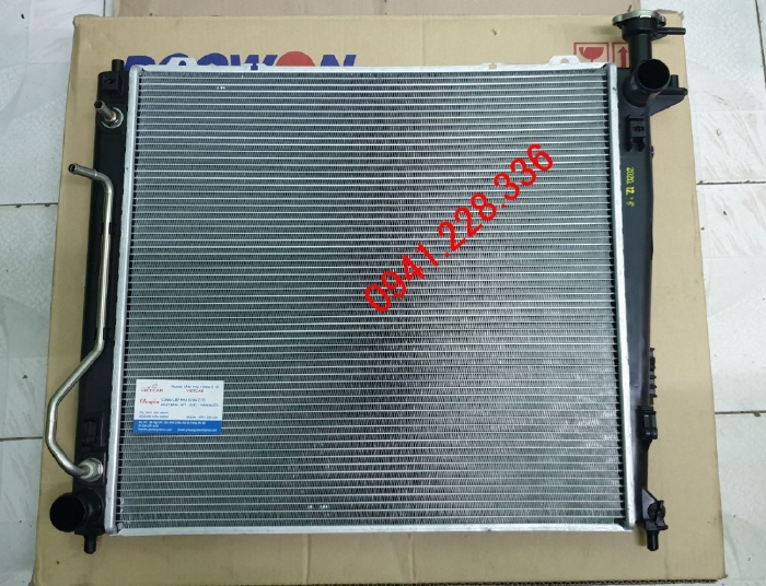 253102P300 Két nước AT Kia Sorento